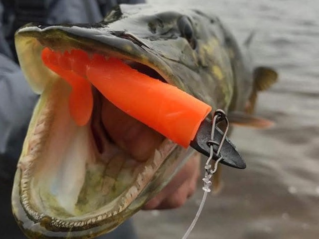 Ch'ti shad 13cm orange fluo